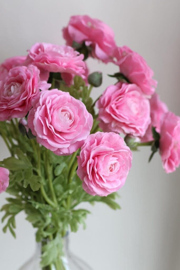 pink real touch ranunculus flowers